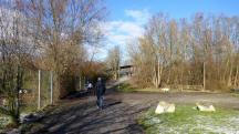  Blick auf die Wanderstrecke zur Seenbrcke 